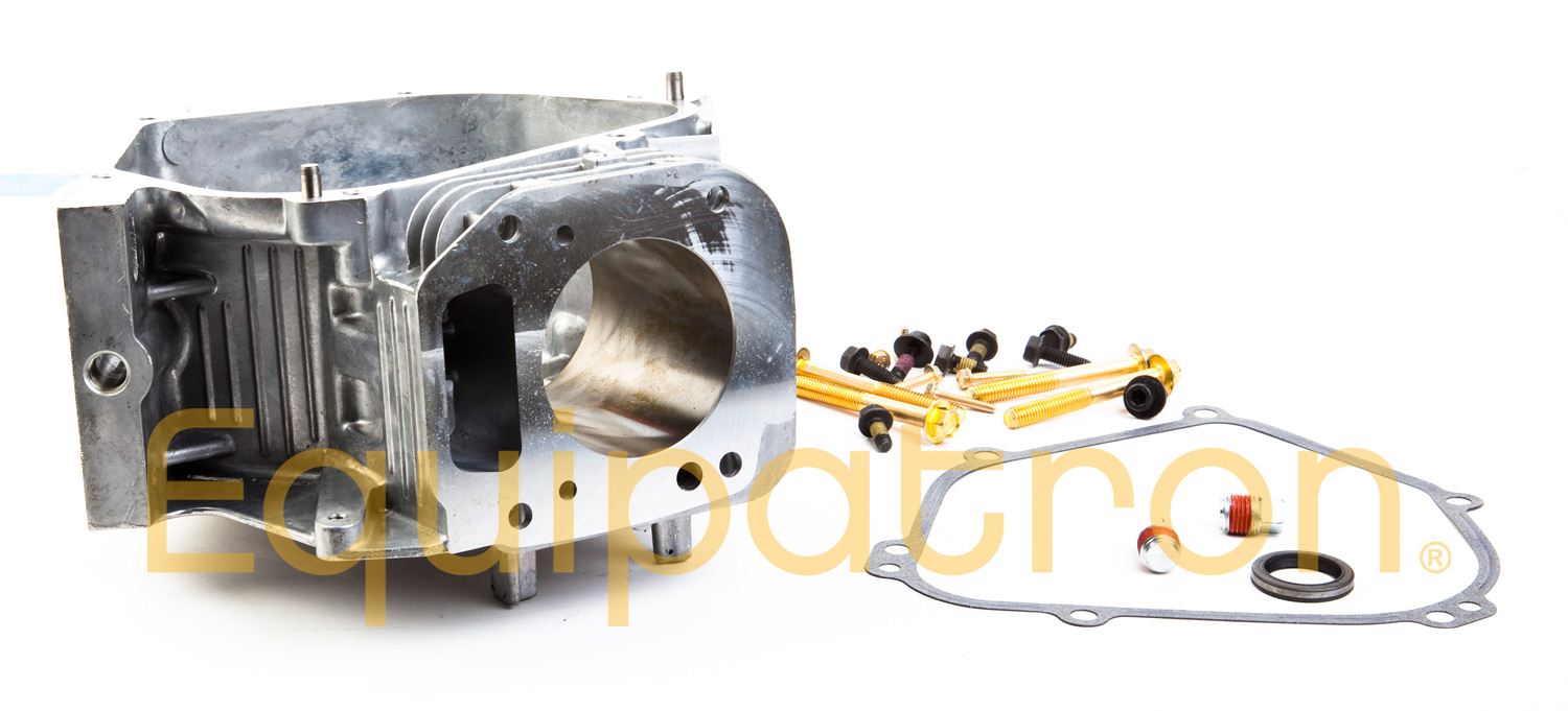 Briggs & Stratton 555705 Cylinder Assembly