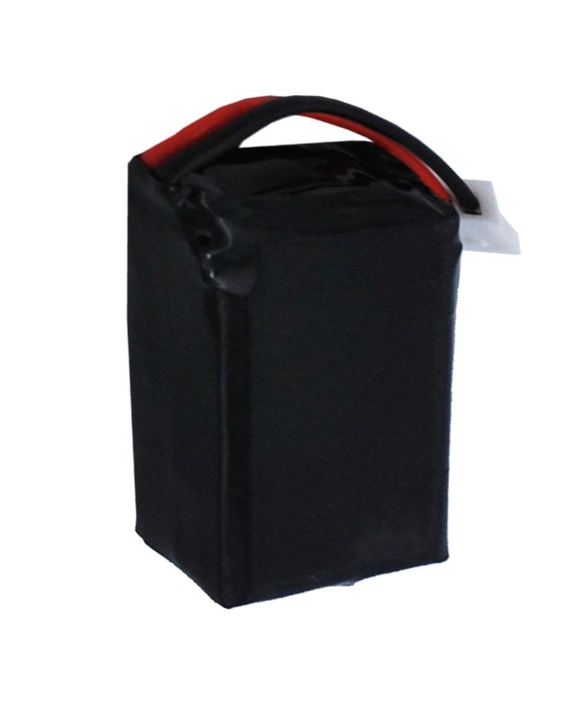 Dogtra Edge RT Remote Replacement Battery